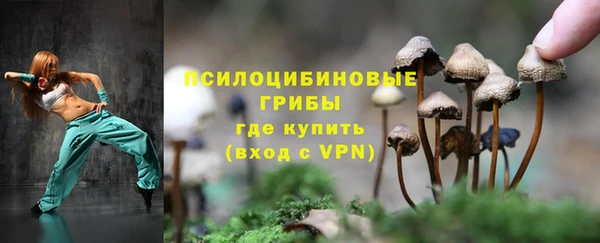 меф Зеленодольск