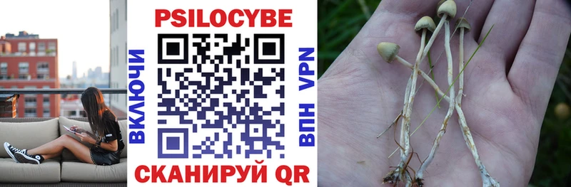Галлюциногенные грибы ЛСД  Купить где  Туринск 